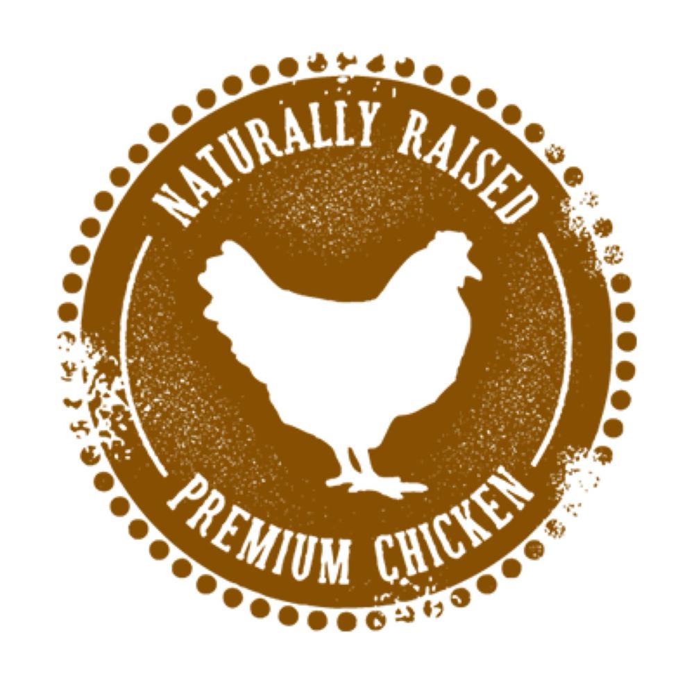 Shredded Chicken Quesadilla at El Pueblo Mexican Food